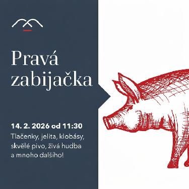 Prav� zabija�ka na Malevilu aneb Valent�n naruby