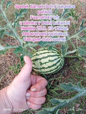 Farm��sk� trh u z�mku v Doln� Lukavici  - www.webtrziste.cz