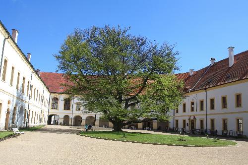 HISTORICK� TRH M�JOV� - www.webtrziste.cz