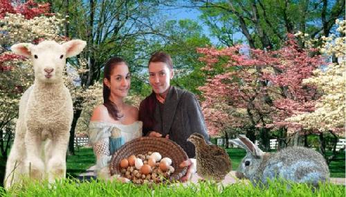 Omlouv�me se, ale obrazek nebyl dod�n