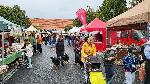 Omlouv�me se, ale obrazek nebyl dod�n