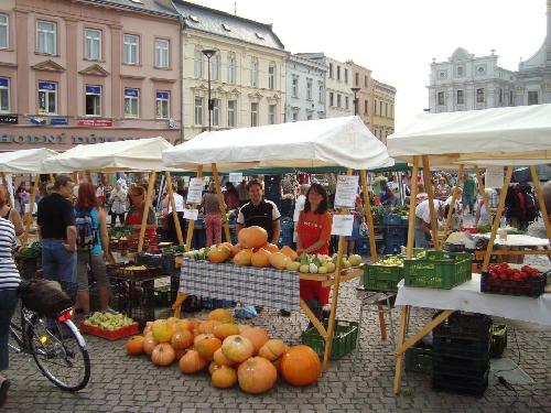 Omlouv�me se, ale obrazek nebyl dod�n