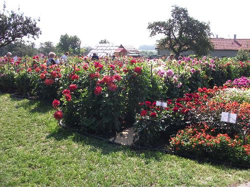 Omlouv�me se, ale obrazek nebyl dod�n